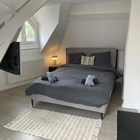 Villa New Garden Unic 6 Personnes Amiens Exterior foto